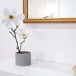 Quartierino 아파트